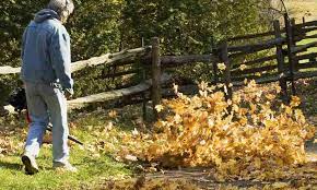 Lightweight with a low noise design. Black And Decker Lsw20 Cordless Leaf Blower Sweeper Review