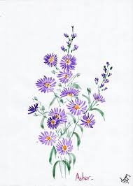 Aster Perennial Aster Flower Tattoos Birth Flower Tattoos Watercolor Tattoo Flower