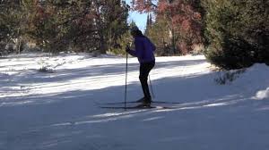 You end up running, rather than skating pretty quickly as you lose momentum, but as this video shows, it's certainly possible. Xc Skiing Uphill Techniques Just Trails