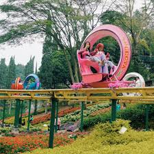 Saya berpeluang melawat ladang teh, kebun bunga ros. Taman Bunga 9 Tripzilla Indonesia