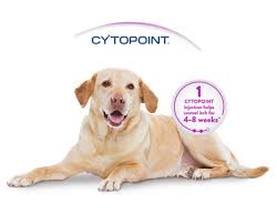 Our affordable cat and dog vaccination clinics offer quality, preventive care to help ensure your pet's health & wellness. Welcome To Ocala Veterinary Hospital Ocala Veterinary Hospital