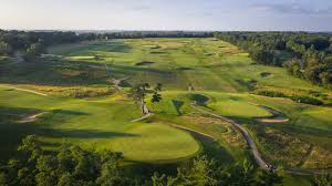 Image result for Lawsonia