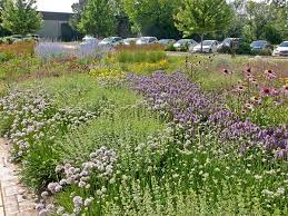We did not find results for: Roy Diblik Blog Posts Annotations Plants Ideas Knowledge