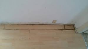 Nein, sie sollten kein laminat auf teppichboden verlegen! Schaden Durch Katzenurin Auf Pvc Und Laminat Muss Ich Zahlen Katzen Mietrecht Anwalt