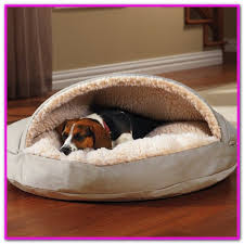 Maybe you would like to learn more about one of these? 840 Dog Beds Ideas Orthopedic Dog Bed Dog Bed Dog Bed Large