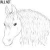 How to draw a horse: 1