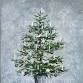 Tinsel Traditions at Beliveau Farm Winery event image