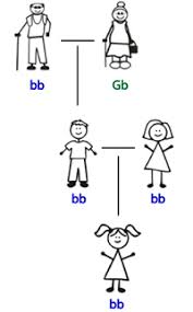 What's the difference between dominant and recessive? Understanding Genetics