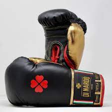Di Nardo Worldwide On Instagram When You Pay To Have Boxers Use Your Gloves Everything Is Easier All The Goals I Have Achieved I Gloves Boxer Achievement