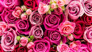 Across the united states and in other places around the world, candy, flowers and gifts are . Valentine S Day 2022 Origins Background Traditions History History