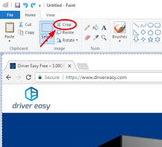 It is easy to just follow these steps and start capturing your laptop's screen like a pro. How To Screenshot On Dell Laptop Driver Easy