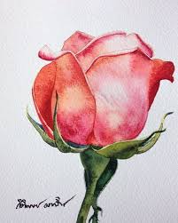Kitipong Ti On Instagram The Single Rose Flowers Roses Artists Art Aquarius Aquarelle Waterblog Watercolor Flower Drawing Flower Art Flower Painting