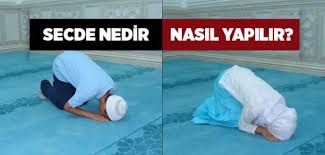 İster dinlemeyi kasdetmiş olsun, ister olmasın, bu secdeyi yapar ve bu secdeyi. Secde Nedir Nasil Yapilir Islam Ve Ihsan