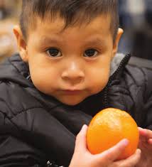 4614_2015-16 Annual Report_K.indd