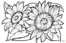 Sunflowers Super Coloring Sunflower Coloring Pages Flower Coloring Pages Coloring Pages