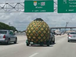 Hurricane Dorian Is About To Hit Florida You Know Shit Is Serious When Spongebob Is Evacuating Imgur