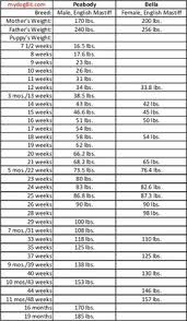 Explanatory Mastiff Size Chart French Mastiff Growth Chart