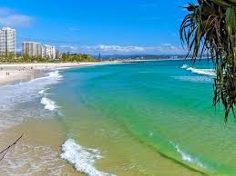 Camping is a great way to experience the bush and see wildlife. Top 10 Queensland Beaches Discover Queensland Discover Queensland