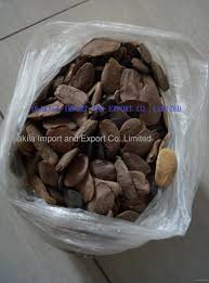 Image result for Picralima nitida