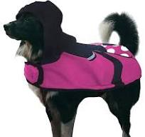 Fábrica Pet Capa Denin - 00 | Amazon.com.br