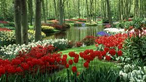 Frühling wallpaper 1920x1080 full hd kostenlos downloaden und 3840x2160 ultra hd 4k desktop bilder schöne natur hintergrundbilder für pc man nennt diese bilder auch widescreen wallpaper, desktopbilder, hintergrundbilder pc, desktop hintergrund, bildschirmhintergründe, full hd bilder. Spring Flower Paradise Hd Wallpaper Hintergrund 1920x1080 Wallpaper Abyss