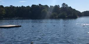 Medford SwimFest #3