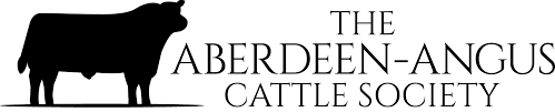 The angus is naturally polled and solid black or red, though the udder may be white. Home Aberdeen Angus Cattle Society