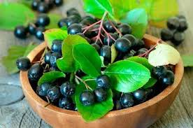 Aronia Beere Wirkung Rezepte Heilungsberichte De Aronia Beere Aronia Beeren Rezept Aronia