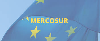 Mercosur is ruled by the common market council (cmc, consejo del mercado común), which the mercosur parliament was officially inaugurated december 14, 2006 in brasilia and in the first phase. The Eu Mercosur Trade Agreement Can A Trade Treaty Be Greened Iddri