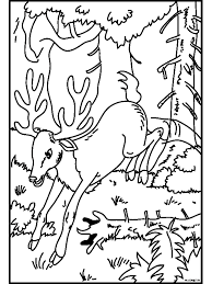 Speciaal voor oudere kinderen of volwassenen hebben wij moeilijke/mandala kleurplaten van vogels verzameld. Kleurplaat Hert In Het Bos Kleurplaten Nl