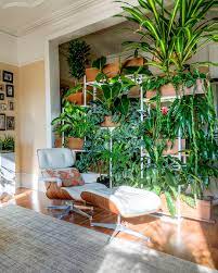 Pin On Gardening Tips And Ideas