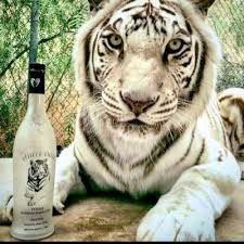 White tiger tattoo designs come in a variety of different shapes, sizes, and colors. White Tiger Vodka Whitetigervodka Twitter