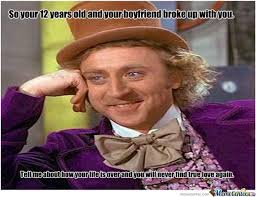 Willy Wonka Memes Sarcastic Tell Me More Meme