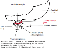The Cervical Spine Measurement Of Joint Motion A Guide To