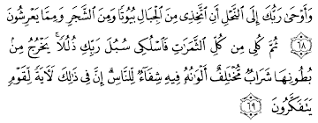 Lalu orang itu pergi dan memberinya lagi madu, kemudian ia pun sembuh. Tafsir Ibnu Katsir Surah An Nahl Ayat 68 69 Alqur Anmulia