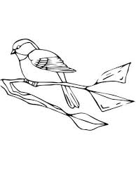 Howdy everyone , our most recent coloringsheet which you couldwork with is chickadee coloring page for kids, published in chickadeecategory. Black Capped Chickadee Coloring Page Free Printable Coloring Pages Deer Coloring Pages Black Capped Chickadee Coloring Pages