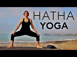 1 Hour Hatha Yoga Full Class Fightmaster Yoga Videos Youtube Hatha Yoga Sequence Yoga Videos Hatha