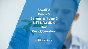 Soal Ipa Kelas 5 Semester 1 2 Uts Uas Ukk Kunci Jawaban