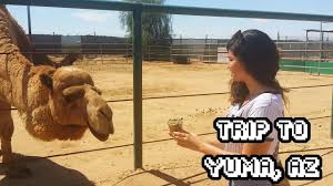 Golf, history museums, nature & wildlife areas and parks. Trip To Yuma Arizona Youtube