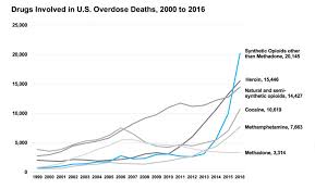 Drug Harm Reduction List Of What You Should Know Rollsafe Org