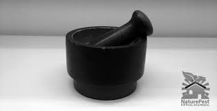 Because essential oils are natural, they have little effect, if any, on the environment. 6 Ways Natural Essential Oil Insecticides Work To Control Pests