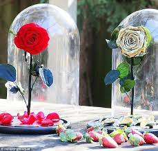 Dried beans are best used within a year but can be stored longer. Incredible Roses That Last A Year After Being Soaked In Special Oils Daily Mail Online