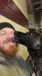 Deputy Andrew Ellison and K9 Gaia Partnership Introduction