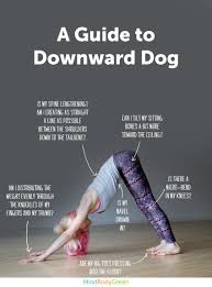 Downward Dog Pose Yogaposes How To Do Yoga Yoga Moves Yoga Poses