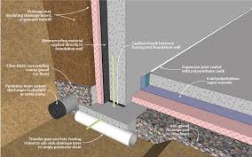 Next you should set out some repellent granules or repellent spray and lastly, consider setting out lizard traps if they're inside the home. Doe Building Foundations Section 2 1 Recommendations