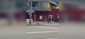 Beim amoklauf in münchen wurden die feldjäger trotzdem in bereitschaft versetzt. Munchen Es War Rechter Terror Und Kein Amoklauf