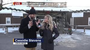 Poppy the pygmy hippo in Richmond