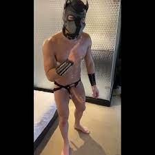 肉便犬育成訓練 ❤️ Best adult photos at gayporn.id