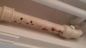 Image result for site:byggahus.se stammar