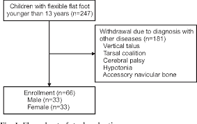Figure 1 From Changes In Resting Calcaneal Stance Position